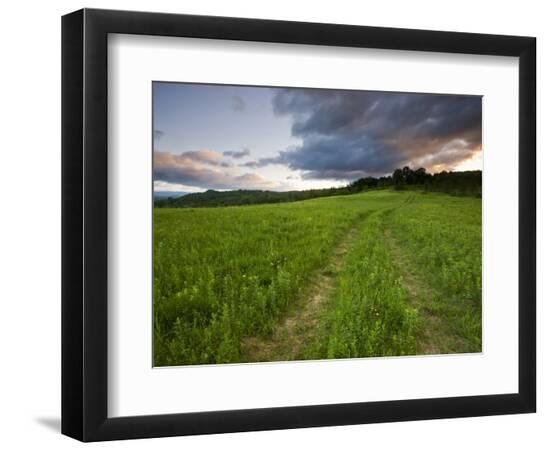 Premium Photographic Print, , large
