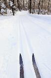 Cross Country Skis, Notchview Reservation, Windsor, Massachusetts-Jerry & Marcy Monkman-Photographic Print