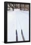 Essential Black