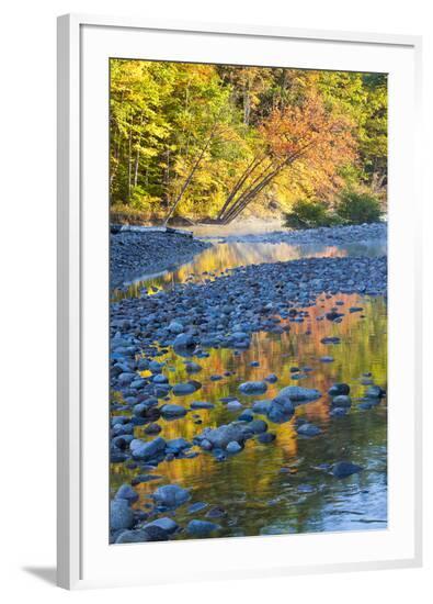 Framed Photographic Print, , large