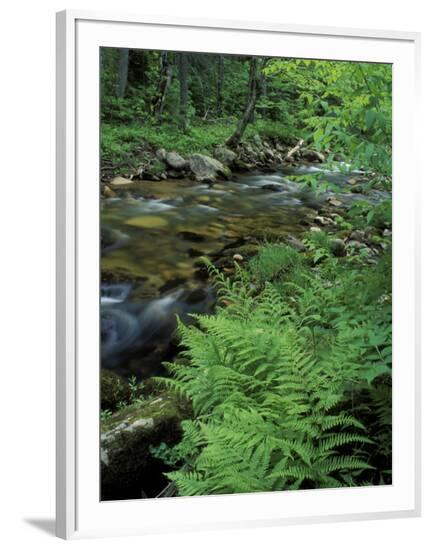 Framed Photographic Print, , large