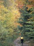 Penobscot Mountain Hiking Trails in Fall, Maine, USA-Jerry & Marcy Monkman-Photographic Print