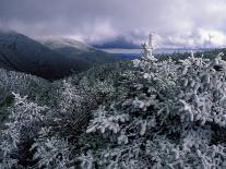 Snow Coats the Boreal Forest on Mt. Lafayette, White Mountains, New Hampshire, USA-Jerry & Marcy Monkman-Photographic Print