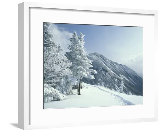 Framed Photographic Print, , large