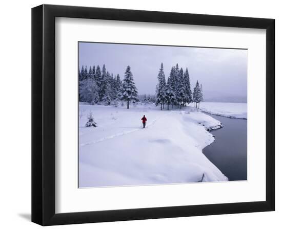 Premium Photographic Print, , large