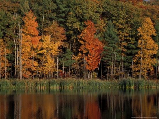 Premium Photographic Print, , large