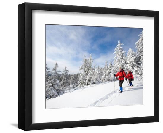 Premium Photographic Print, , large