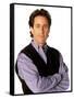 JERRY SEINFELD. "Seinfeld" [1990].-null-Framed Stretched Canvas