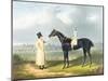 Jerry, the Winner of the Great St Leger at Doncaster, 1824-John Frederick Herring Snr-Mounted Giclee Print