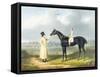 Jerry, the Winner of the Great St Leger at Doncaster, 1824-John Frederick Herring Snr-Framed Stretched Canvas