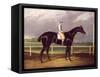 Jerry, Winner of the St. Leger in 1824-null-Framed Stretched Canvas