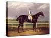 Jerry, Winner of the St. Leger in 1824-null-Stretched Canvas