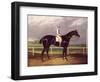 Jerry, Winner of the St. Leger in 1824-null-Framed Giclee Print