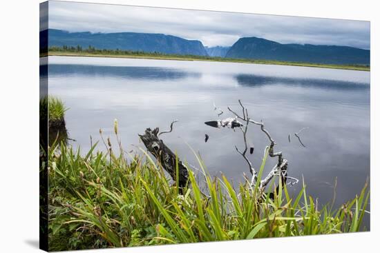 Jerrys Pond in the UNESCO World Heritage Sight, Gros Mourne National Park, Newfoundland, Canada-Michael Runkel-Stretched Canvas