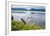 Jerrys Pond in the UNESCO World Heritage Sight, Gros Mourne National Park, Newfoundland, Canada-Michael Runkel-Framed Photographic Print