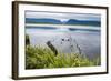 Jerrys Pond in the UNESCO World Heritage Sight, Gros Mourne National Park, Newfoundland, Canada-Michael Runkel-Framed Photographic Print