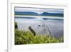 Jerrys Pond in the UNESCO World Heritage Sight, Gros Mourne National Park, Newfoundland, Canada-Michael Runkel-Framed Photographic Print