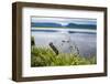 Jerrys Pond in the UNESCO World Heritage Sight, Gros Mourne National Park, Newfoundland, Canada-Michael Runkel-Framed Photographic Print