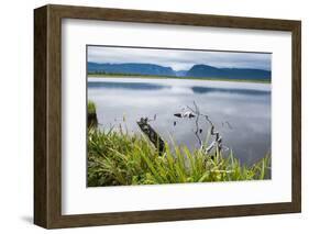 Jerrys Pond in the UNESCO World Heritage Sight, Gros Mourne National Park, Newfoundland, Canada-Michael Runkel-Framed Photographic Print