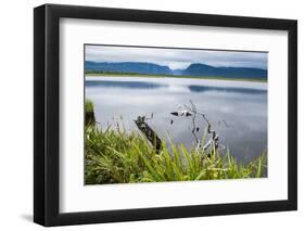 Jerrys Pond in the UNESCO World Heritage Sight, Gros Mourne National Park, Newfoundland, Canada-Michael Runkel-Framed Photographic Print