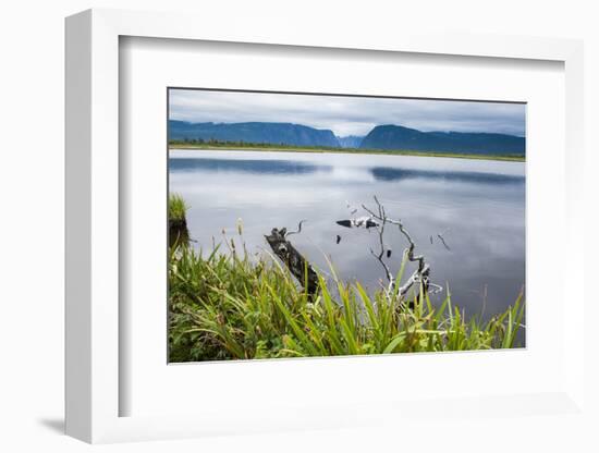 Jerrys Pond in the UNESCO World Heritage Sight, Gros Mourne National Park, Newfoundland, Canada-Michael Runkel-Framed Photographic Print