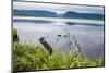 Jerrys Pond in the UNESCO World Heritage Sight, Gros Mourne National Park, Newfoundland, Canada-Michael Runkel-Mounted Photographic Print