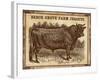 Jersey Bull-null-Framed Giclee Print