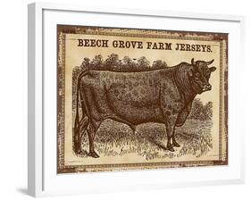 Jersey Bull-null-Framed Giclee Print