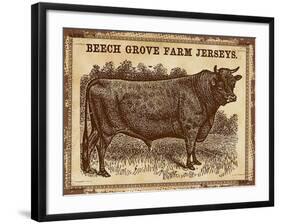 Jersey Bull-null-Framed Giclee Print