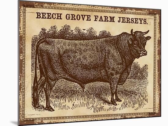 Jersey Bull-null-Mounted Giclee Print