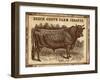 Jersey Bull-null-Framed Giclee Print