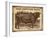 Jersey Bull-null-Framed Giclee Print