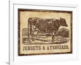 Jersey  Cow-null-Framed Giclee Print