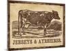 Jersey  Cow-null-Mounted Giclee Print