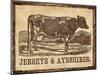 Jersey  Cow-null-Mounted Premium Giclee Print