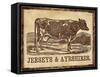 Jersey  Cow-null-Framed Stretched Canvas