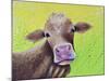 Jersey Cow-Michelle Faber-Mounted Giclee Print