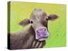 Jersey Cow-Michelle Faber-Stretched Canvas