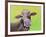 Jersey Cow-Michelle Faber-Framed Giclee Print