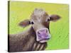 Jersey Cow-Michelle Faber-Stretched Canvas