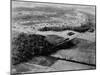 Jersey Homesteads, Planned Community Created by New Deal Programs, 1937-null-Mounted Photo