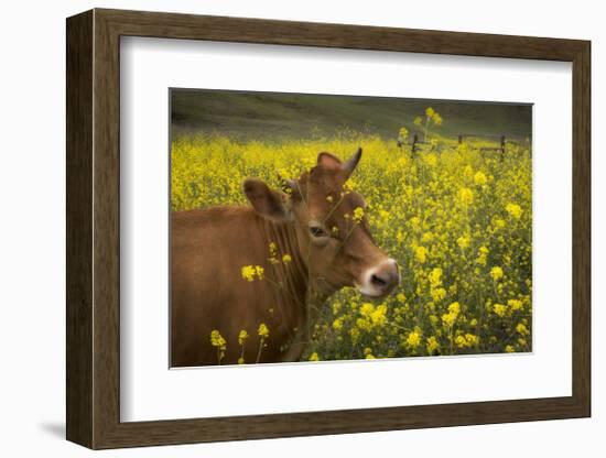 Jersey in Oregon-David Winston-Framed Giclee Print