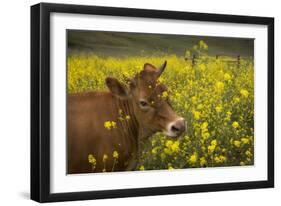 Jersey in Oregon-David Winston-Framed Giclee Print