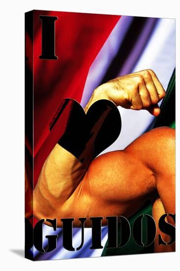 Jersey Shore (I Love Guidos) TV Poster Print-null-Stretched Canvas