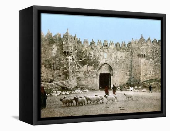 Jerusalem: Damascus Gate-null-Framed Stretched Canvas