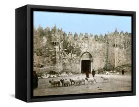 Jerusalem: Damascus Gate-null-Framed Stretched Canvas