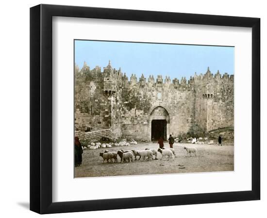 Premium Photographic Print, , large