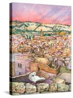 Jerusalem Dove-Wendy Edelson-Stretched Canvas