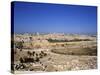 Jerusalem from Mt. of Olives, Israel-Jon Arnold-Stretched Canvas