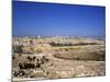 Jerusalem from Mt. of Olives, Israel-Jon Arnold-Mounted Photographic Print